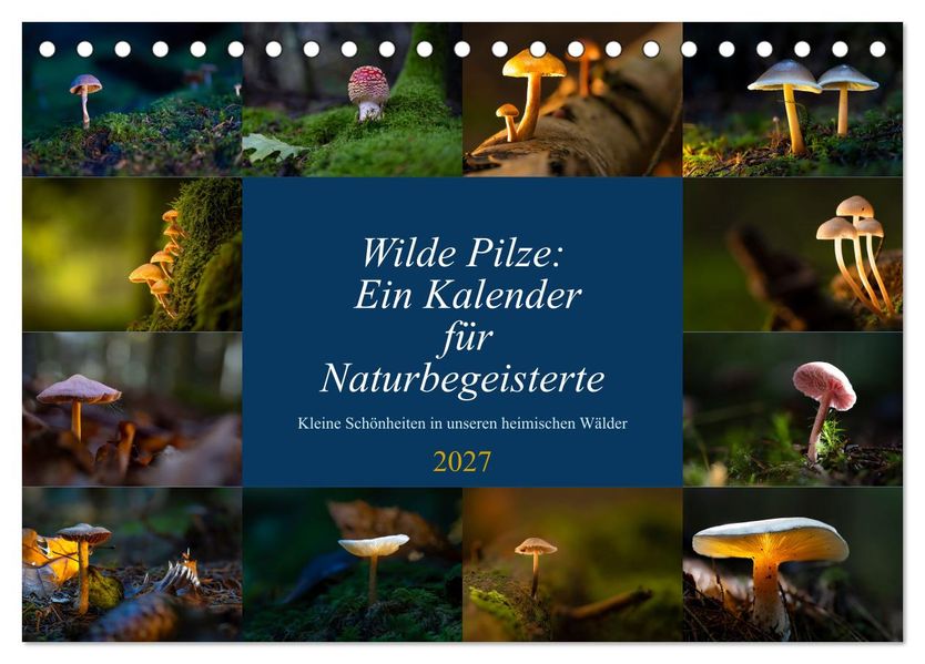 Wilde Pilze: Ein Kalender für Naturbegeisterte (Tischkalender 2027 DIN A5 quer) CALVENDO Monatskalender
