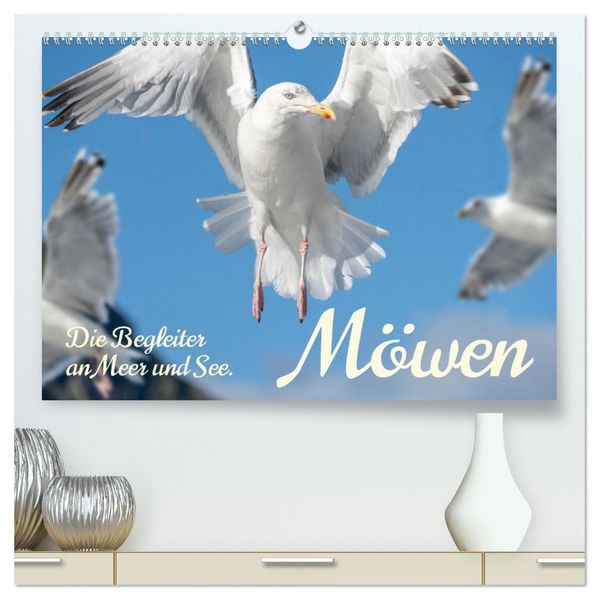 Möwen die Begleiter an Meer und See (hochwertiger Premium Wandkalender 2027 DIN A2 quer) Kunstdruck in Hochglanz