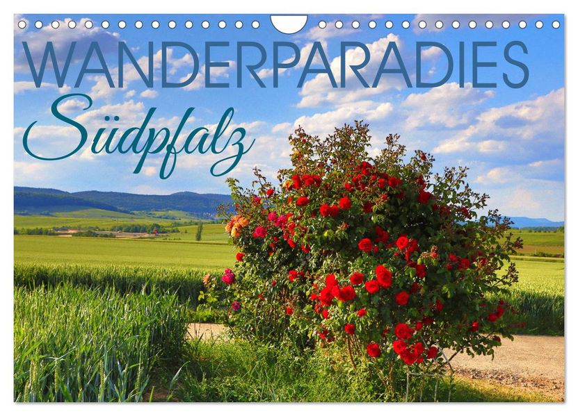 Wanderparadies Südpfalz (Wandkalender 2027 DIN A4 quer) CALVENDO Monatskalender