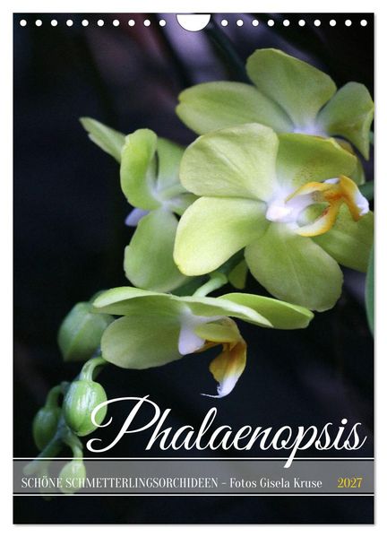 Phalaenopsis - Schöne Schmetterlingsorchideen (Wandkalender 2027 DIN A4 hoch) CALVENDO Monatskalender