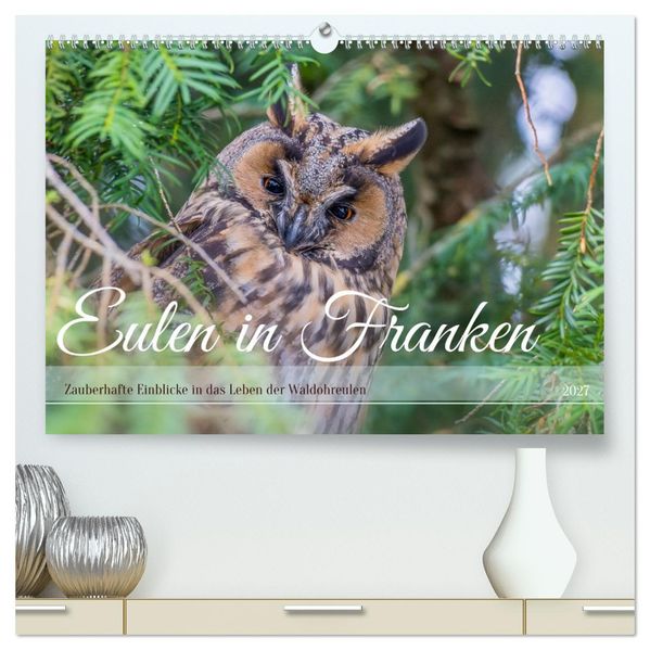 Eulen in Franken (hochwertiger Premium Wandkalender 2027 DIN A2 quer) Kunstdruck in Hochglanz