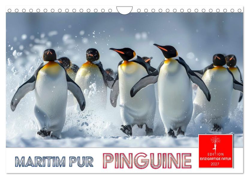 Maritim pur - Pinguine (Wandkalender 2027 DIN A4 quer) CALVENDO Monatskalender