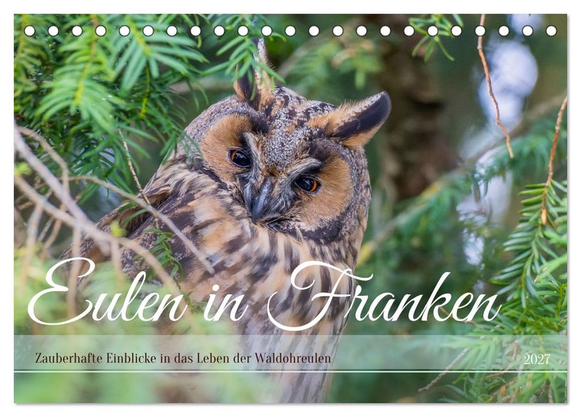 Eulen in Franken (Tischkalender 2027 DIN A5 quer) CALVENDO Monatskalender