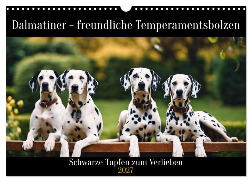 Dalmatiner - freundliche Temperamentsbolzen (Wandkalender 2027 DIN A3 quer) CALVENDO Monatskalender