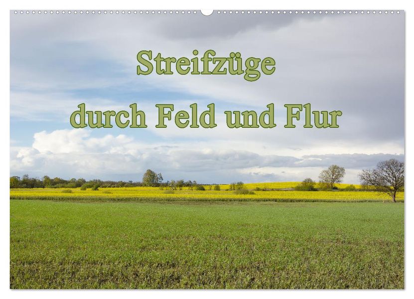 Streifzüge durch Feld und Flur (Wandkalender 2027 DIN A2 quer) CALVENDO Monatskalender
