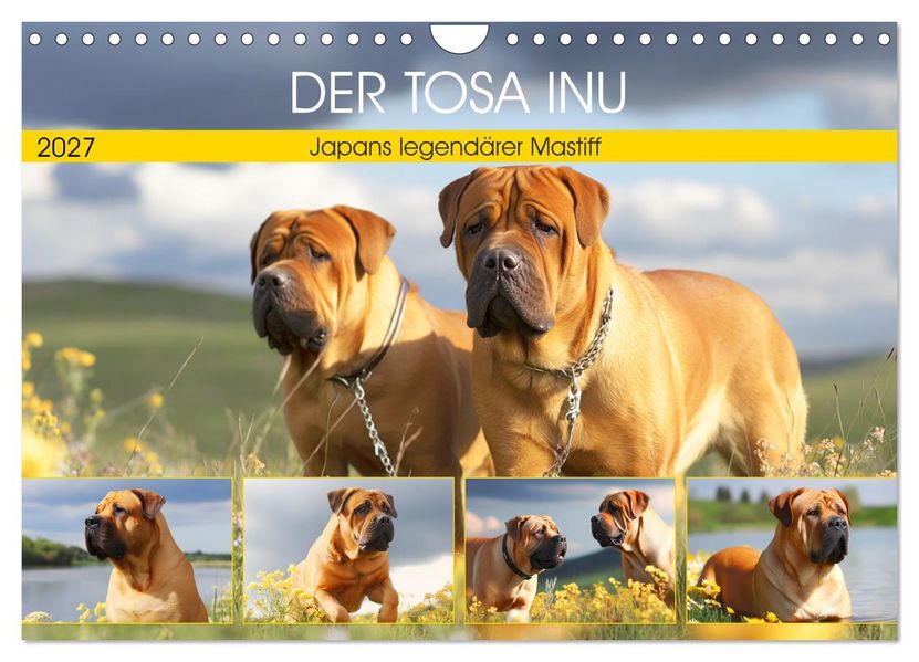 Der Tosa Inu. Japans legendärer Mastiff (Wandkalender 2027 DIN A4 quer) CALVENDO Monatskalender