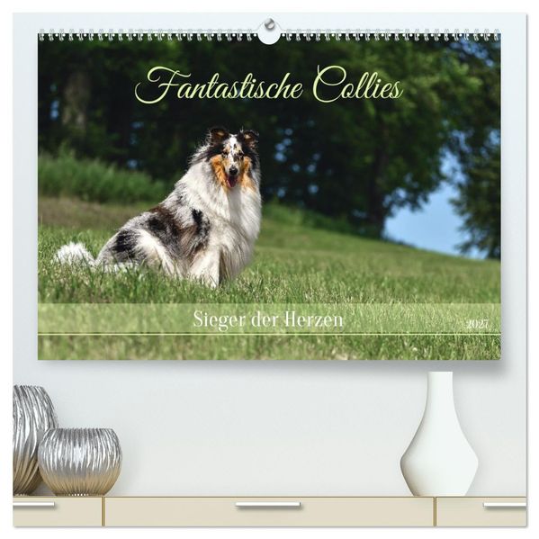 Fantastische Collies - Sieger der Herzen (hochwertiger Premium Wandkalender 2027 DIN A2 quer) Kunstdruck in Hochglanz