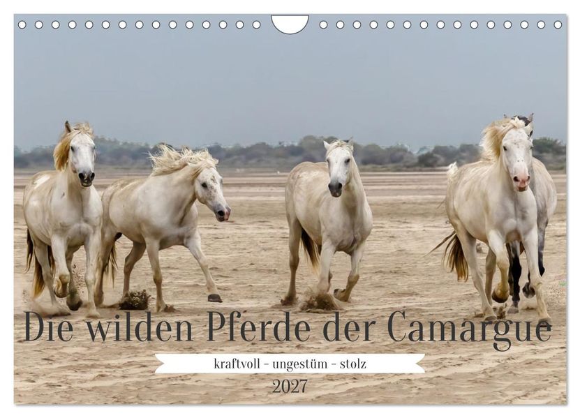 Die wilden Pferde der Camargue (Wandkalender 2027 DIN A4 quer) CALVENDO Monatskalender