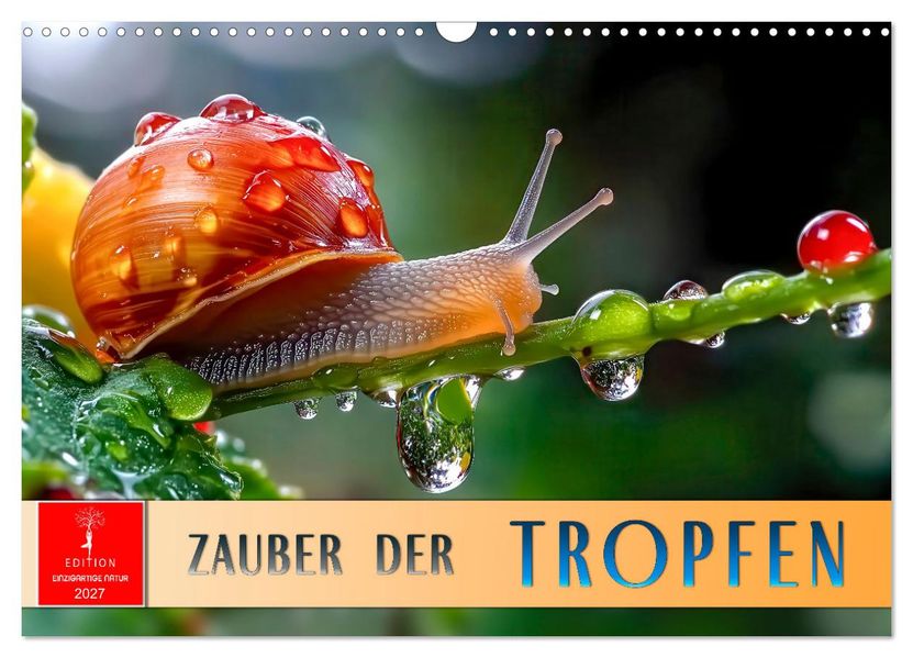 Zauber der Tropfen (Wandkalender 2027 DIN A3 quer) CALVENDO Monatskalender
