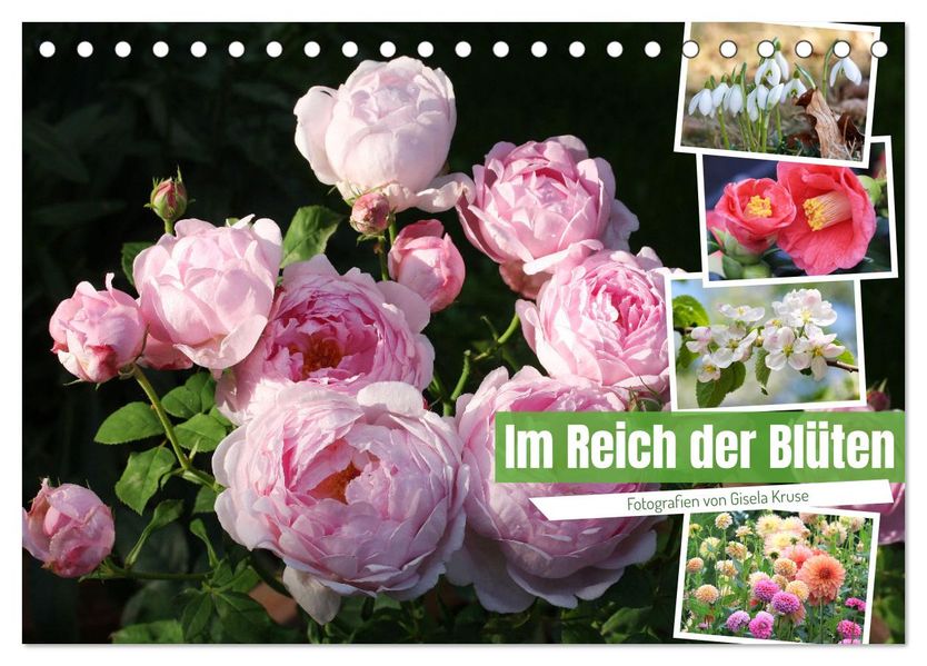 Im Reich der Blüten (Tischkalender 2027 DIN A5 quer) CALVENDO Monatskalender