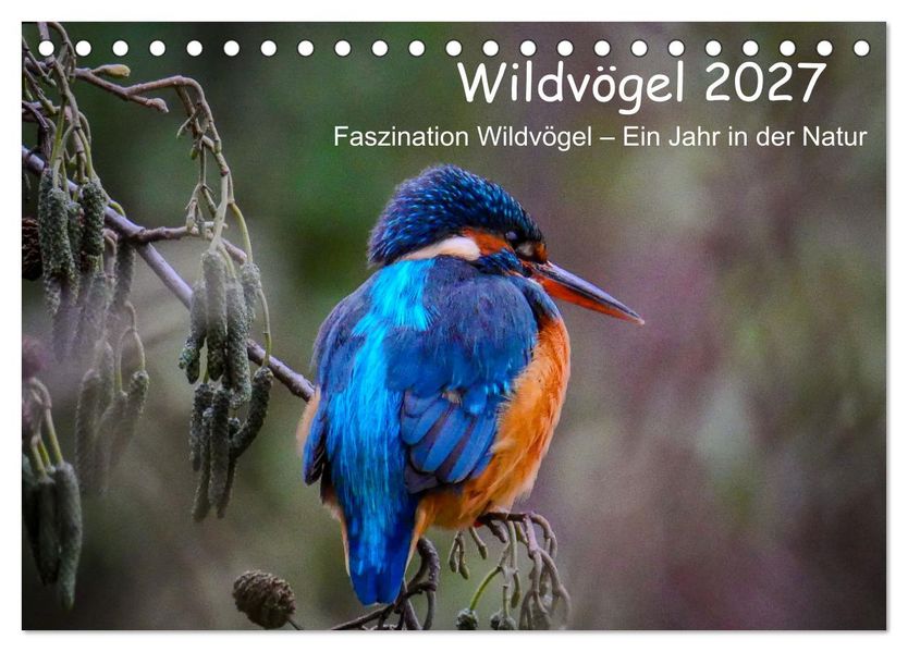 Wildvögel 2027 (Tischkalender 2027 DIN A5 quer) CALVENDO Monatskalender