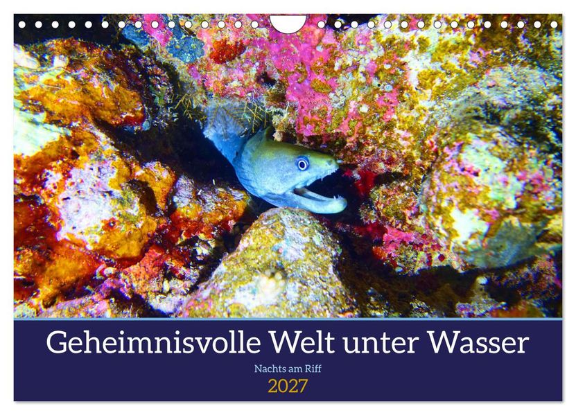 Geheimnisvolle Welt unter Wasser - Nachts am Riff (Wandkalender 2027 DIN A4 quer) CALVENDO Monatskalender