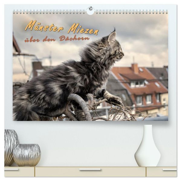 Münster Miezen - über den Dächern (hochwertiger Premium Wandkalender 2027 DIN A2 quer) Kunstdruck in Hochglanz