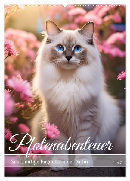 Pfotenabenteuer - Ragdolls in der Natur (Wandkalender 2027 DIN A2 hoch) CALVENDO Monatskalender
