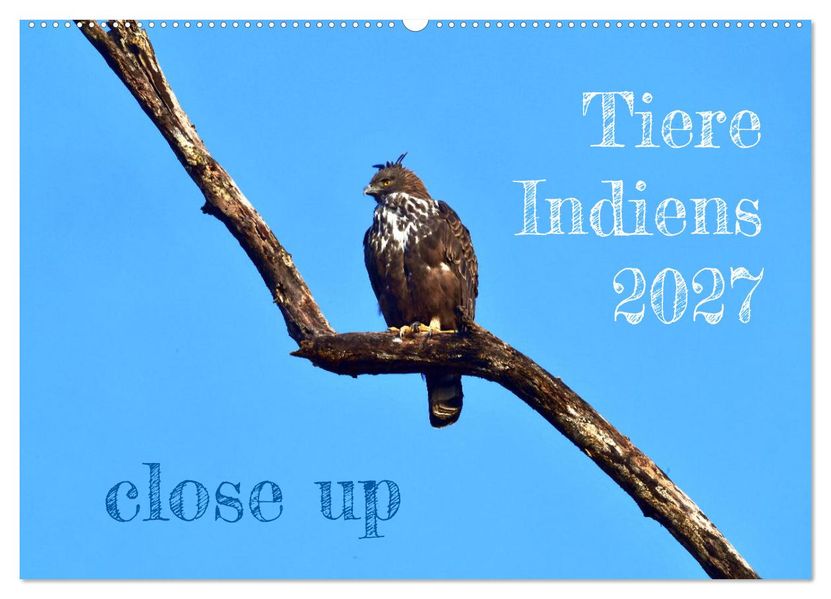 Tiere Indiens close up (Wandkalender 2027 DIN A2 quer) CALVENDO Monatskalender