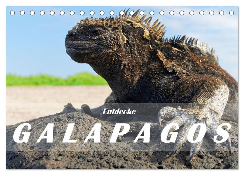 Entdecke Galapagos (Tischkalender 2027 DIN A5 quer) CALVENDO Monatskalender