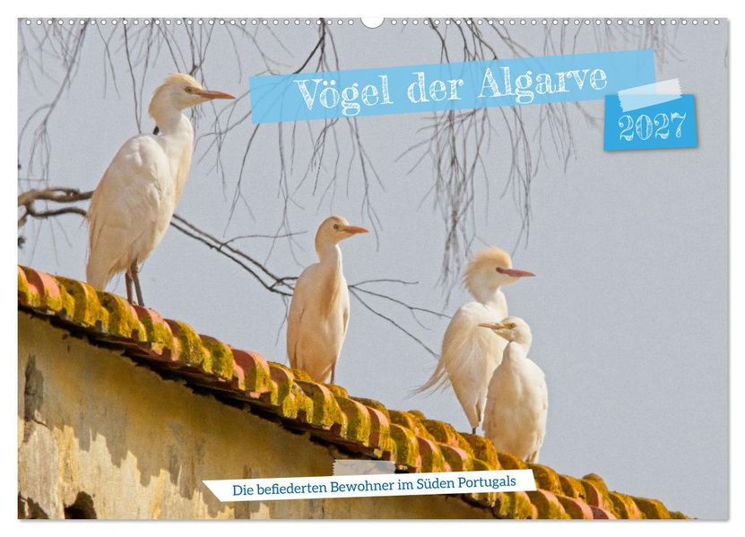 Vögel der Algarve (Wandkalender 2027 DIN A2 quer) CALVENDO Monatskalender