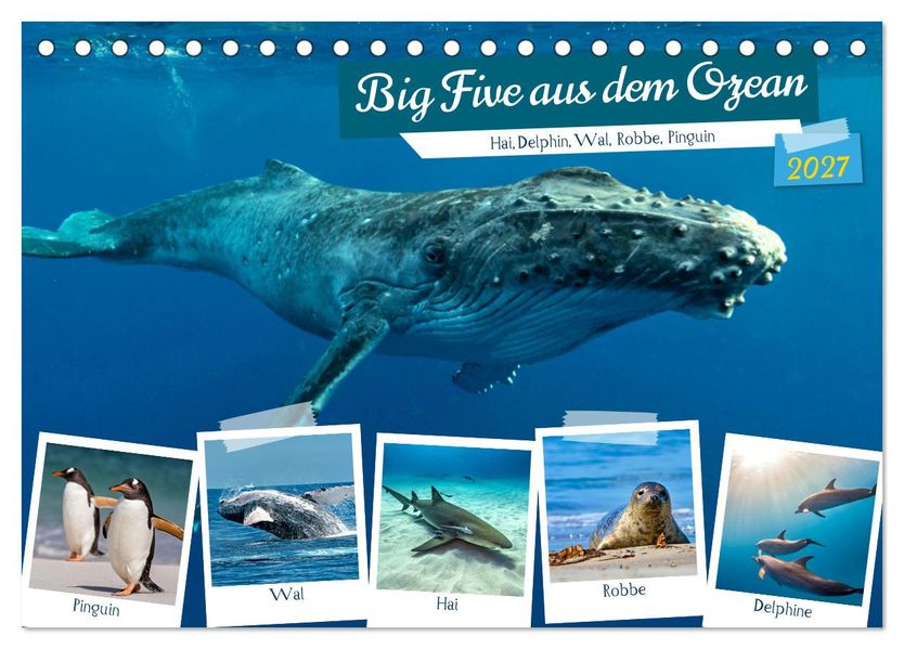 Big Five aus dem Ozean Hai Delphin Wal Robbe Pinguin (Tischkalender 2027 DIN A5 quer) CALVENDO Monatskalender