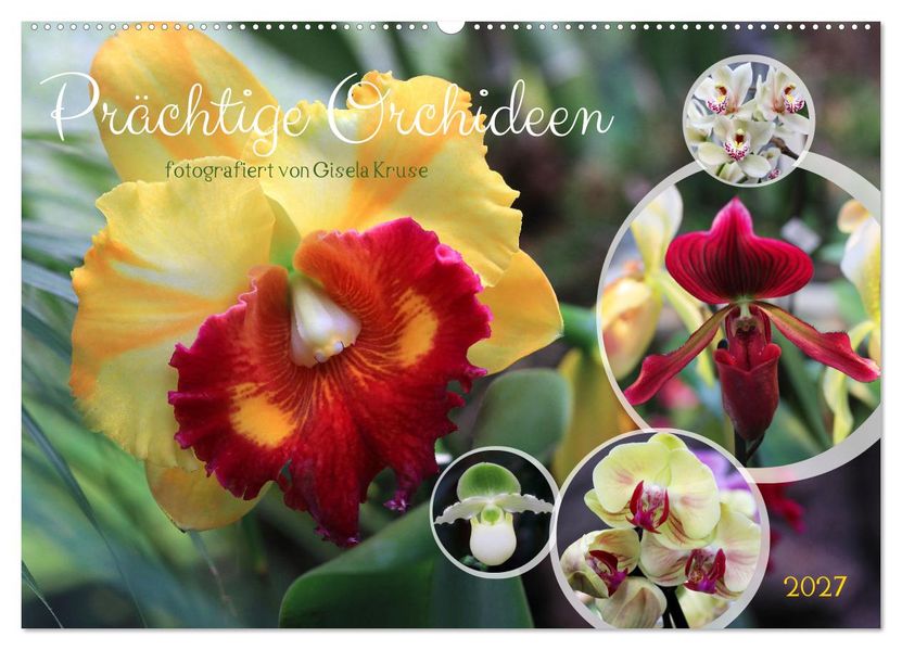 Prächtige Orchideen (Wandkalender 2027 DIN A2 quer) CALVENDO Monatskalender
