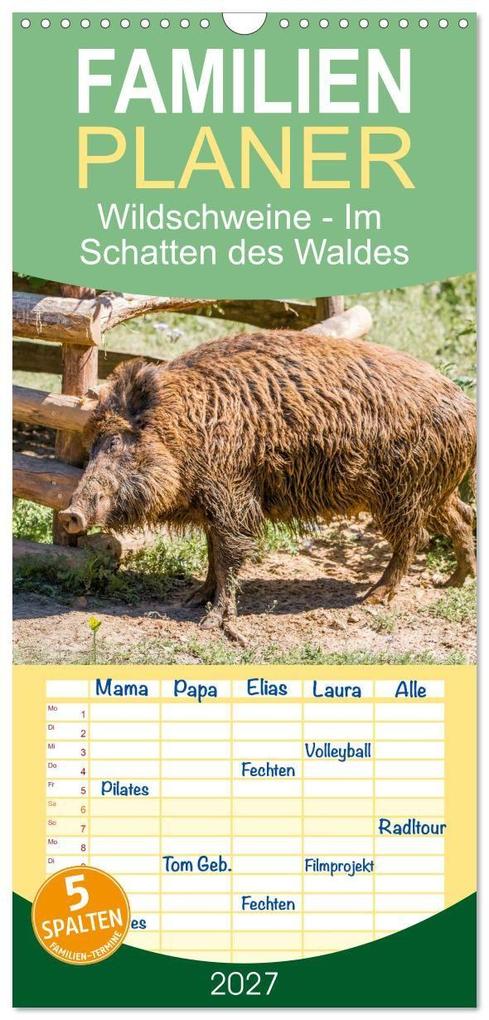 Familienplaner 2027 - Wildschweine - Im Schatten des Waldes mit 5 Spalten (Wandkalender 21 x 45 cm) CALVENDO