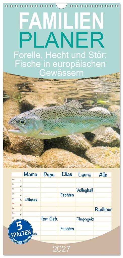 Familienplaner 2027 - Forelle Hecht und Stör: Fische in europäischen Gewässern mit 5 Spalten (Wandkalender 21 x 45 cm) CALVENDO