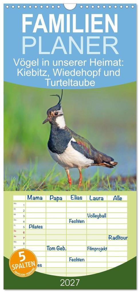 Familienplaner 2027 - Vögel in unserer Heimat: Kiebitz Wiedehopf und Turteltaube mit 5 Spalten (Wandkalender 21 x 45 cm) CALVENDO
