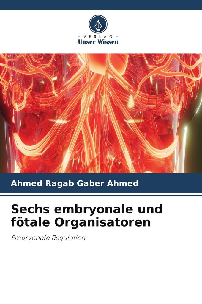 Sechs embryonale und fötale Organisatoren