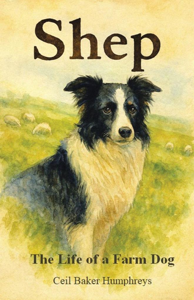 Shep