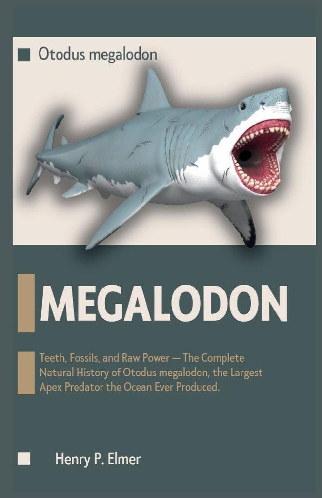 MEGALODON (Otodus megalodon)