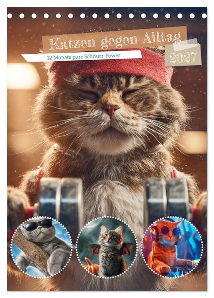 Katzen gegen Alltag (Tischkalender 2027 DIN A5 hoch) CALVENDO Monatskalender
