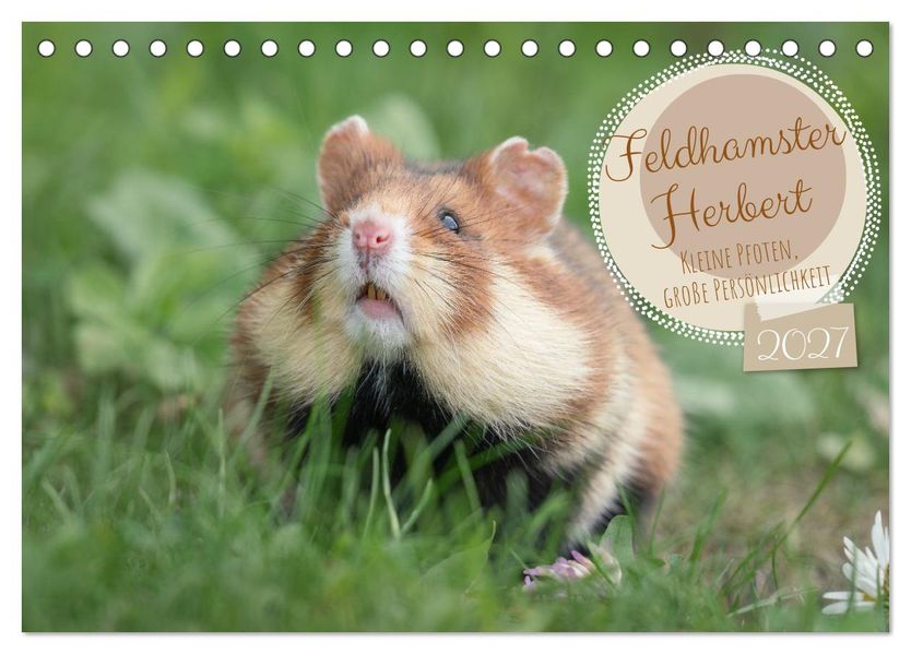 Feldhamster Herbert Kleine Pfoten große Persönlichkeit (Tischkalender 2027 DIN A5 quer) CALVENDO Monatskalender