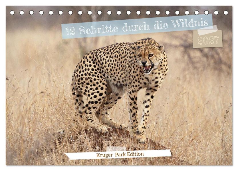 12 Schritte durch die Wildnis Kruger Park Edition (Tischkalender 2027 DIN A5 quer) CALVENDO Monatskalender