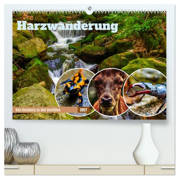 Harzwanderung - Von Ilsenburg zu den Ilsefällen (hochwertiger Premium Wandkalender 2027 DIN A2 quer) Kunstdruck in Hochglanz