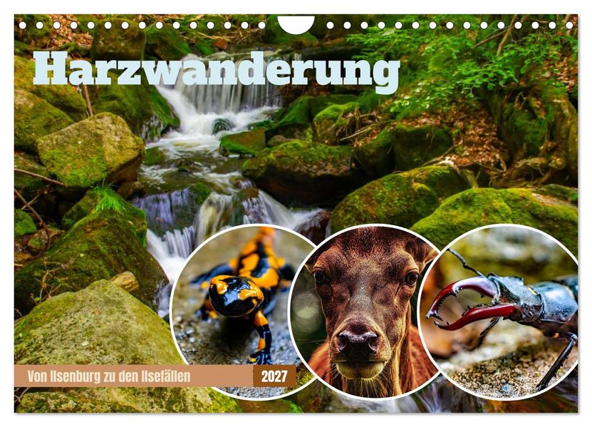 Harzwanderung - Von Ilsenburg zu den Ilsefällen (Wandkalender 2027 DIN A4 quer) CALVENDO Monatskalender