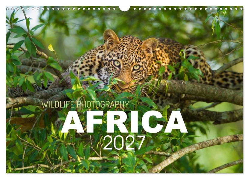 Africa Wildlife Photography (Wall Calendar 2027 DIN A3 landscape) CALVENDO 12 Month Wall Calendar