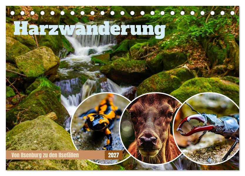 Harzwanderung - Von Ilsenburg zu den Ilsefällen (Tischkalender 2027 DIN A5 quer) CALVENDO Monatskalender
