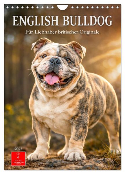 English Bulldog - Für Liebhaber britischer Originale (Wandkalender 2027 DIN A4 hoch) CALVENDO Monatskalender