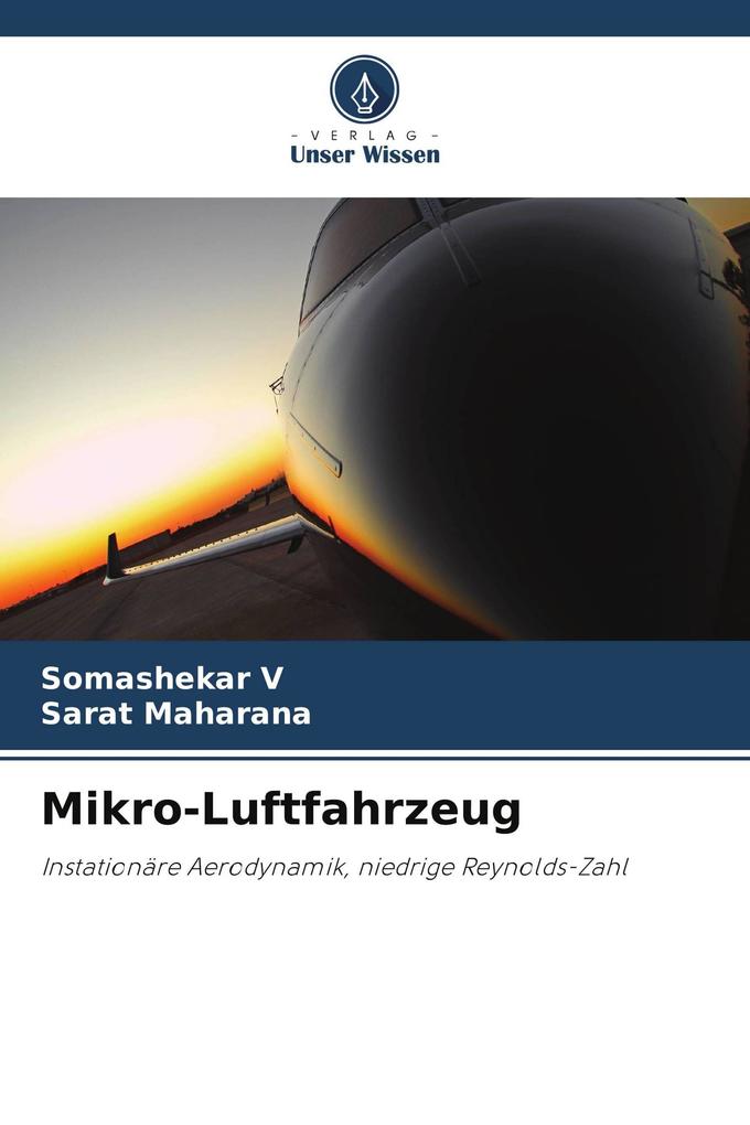 Mikro-Luftfahrzeug