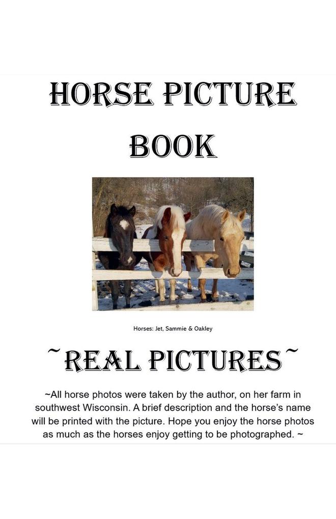 Horses Picture Book