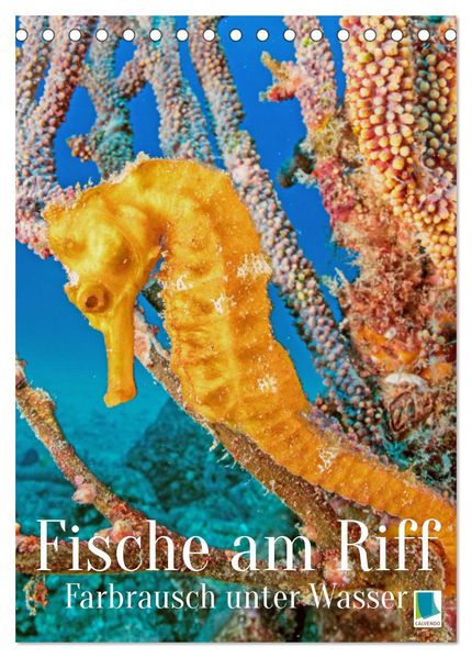 Farbrausch unter Wasser: Fische am Riff (Tischkalender 2027 DIN A5 hoch) CALVENDO Monatskalender