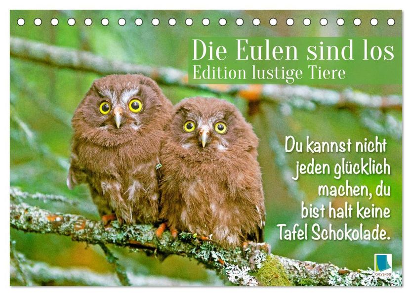 Die Eulen sind los: Edition lustige Tiere (Tischkalender 2027 DIN A5 quer) CALVENDO Monatskalender