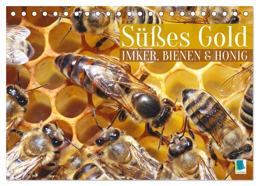 Süßes Gold: Imker Bienen & Honig (Tischkalender 2027 DIN A5 quer) CALVENDO Monatskalender