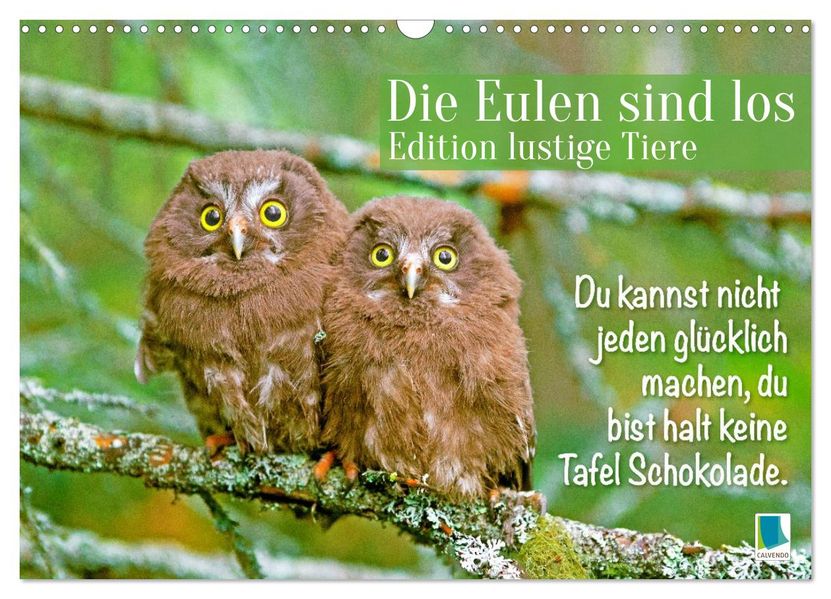 Die Eulen sind los: Edition lustige Tiere (Wandkalender 2027 DIN A3 quer) CALVENDO Monatskalender