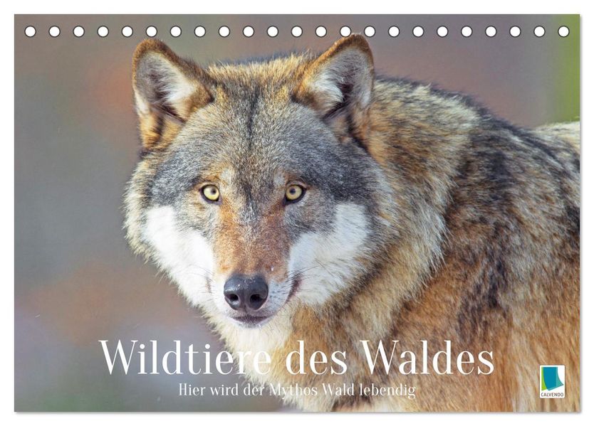 Wildtiere des Waldes: Hier wird der Mythos Wald lebendig (Tischkalender 2027 DIN A5 quer) CALVENDO Monatskalender