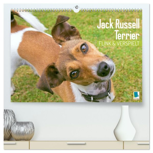 Jack Russell Terrier: flink und verspielt (hochwertiger Premium Wandkalender 2027 DIN A2 quer) Kunstdruck in Hochglanz