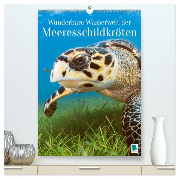 Wunderbare Wasserwelt der Meeresschildkröten (hochwertiger Premium Wandkalender 2027 DIN A2 hoch) Kunstdruck in Hochglanz