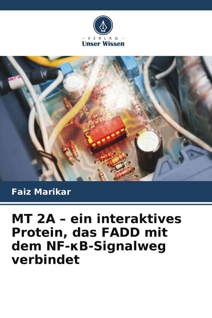 MT 2A - ein interaktives Protein das FADD mit dem NF-B-Signalweg verbindet
