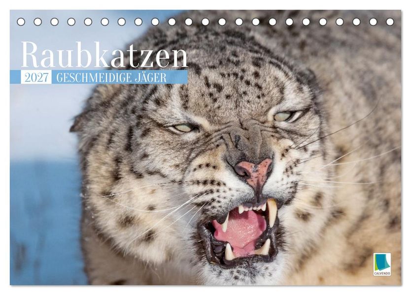 Raubkatzen: Geschmeidige Jäger (Tischkalender 2027 DIN A5 quer) CALVENDO Monatskalender