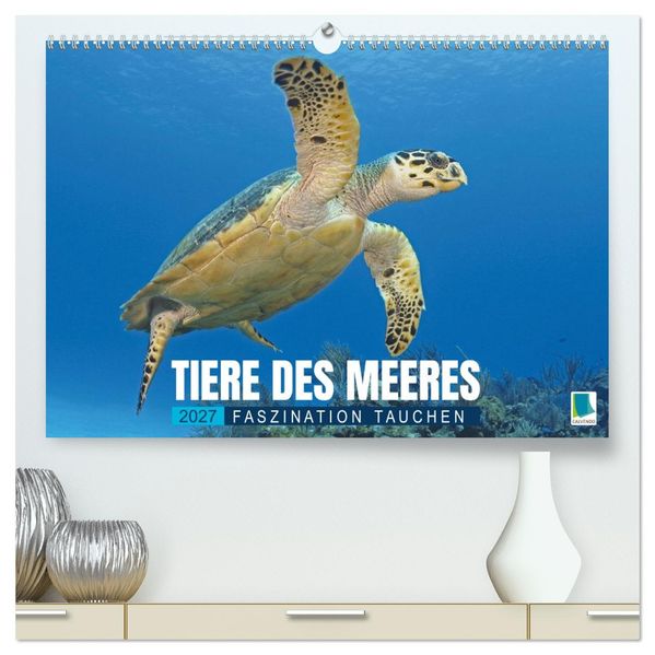 Tiere des Meeres: Faszination Tauchen (hochwertiger Premium Wandkalender 2027 DIN A2 quer) Kunstdruck in Hochglanz