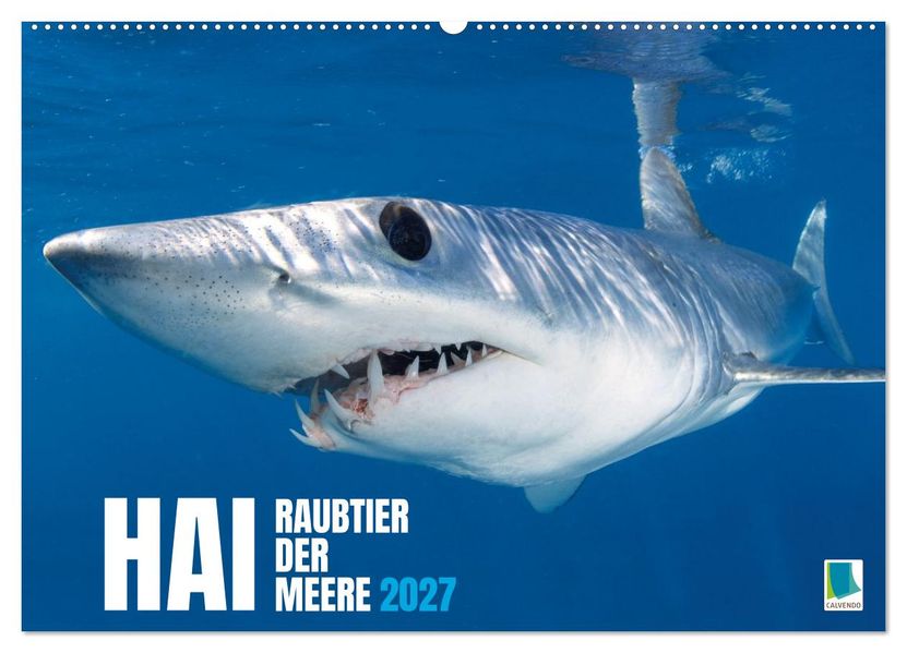 Hai: Raubtier der Meere (Wandkalender 2027 DIN A2 quer) CALVENDO Monatskalender